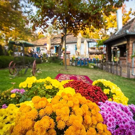 Zornica Kuca Guest house Bacevac