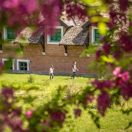 Guest house Zornica Kuca 4*
