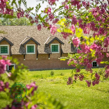 Zornica Kuca Bacevac