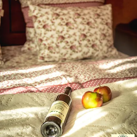 Zornica Kuca Guest house