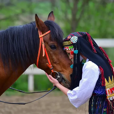 Konukevi Zornica Kuca