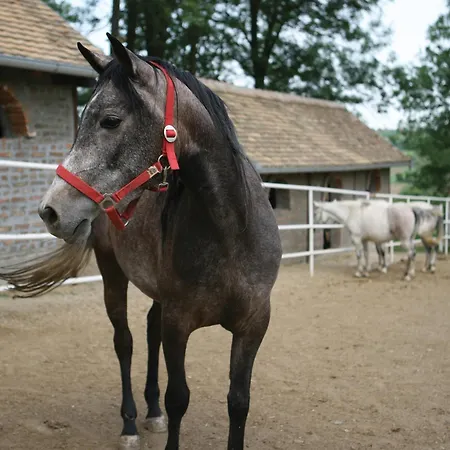 Zornica Kuca Guest house Bacevac